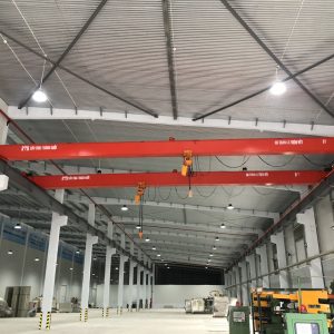 Cầu trục dầm đôi